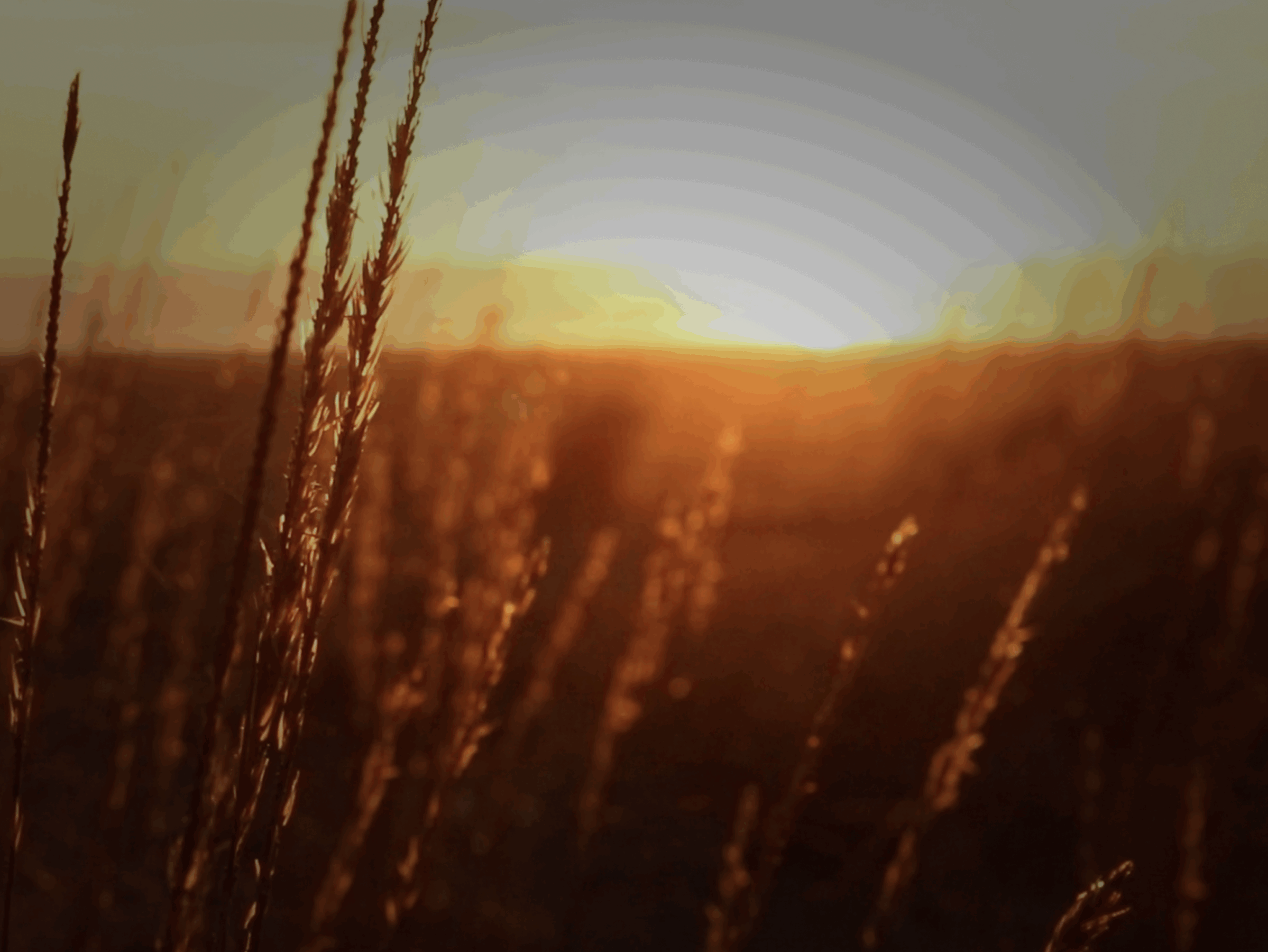 Agricultural Aviation Data - A New Day