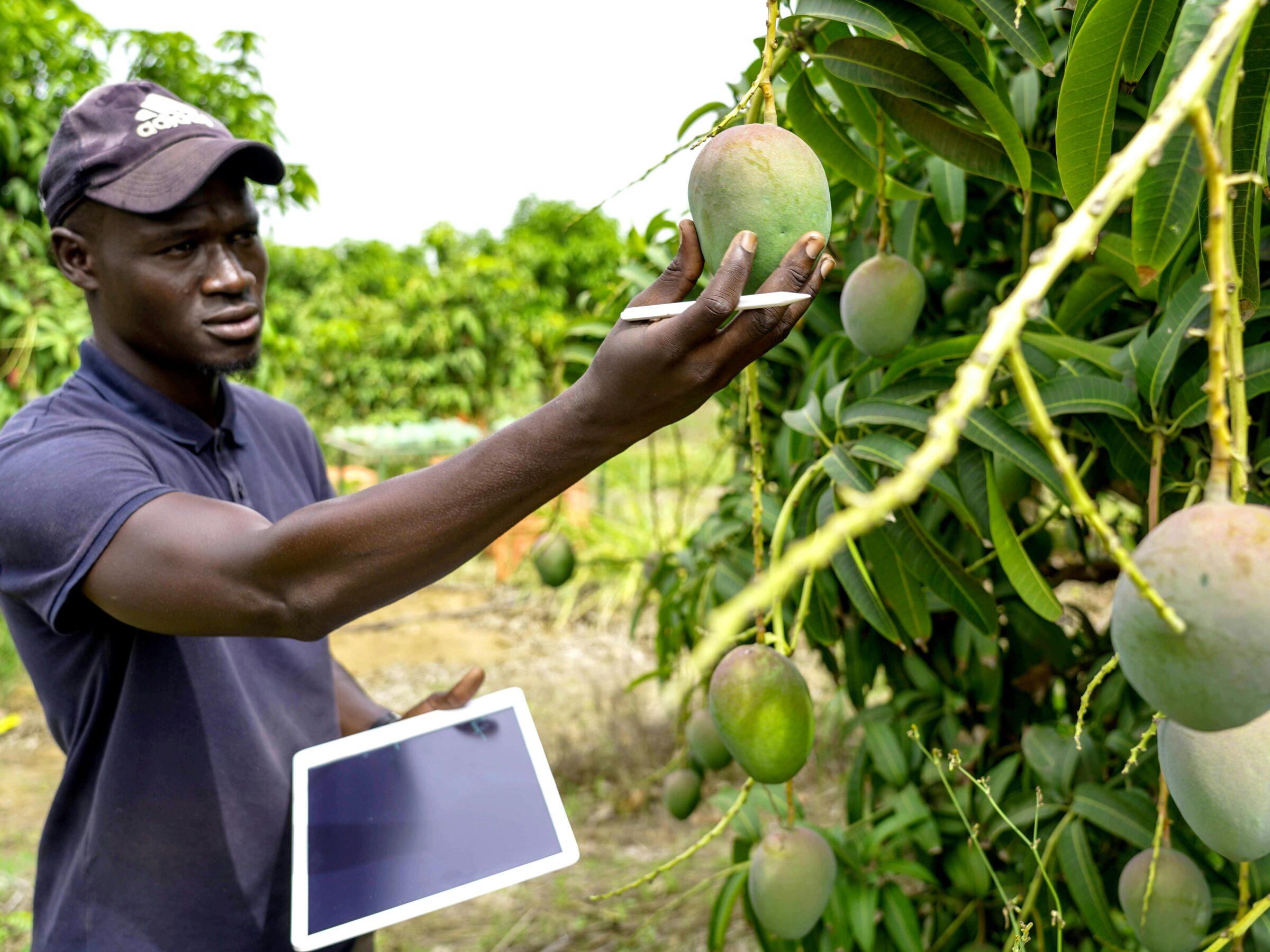 The Future Listens: How to Talk With Farmers in 2025 and Beyond